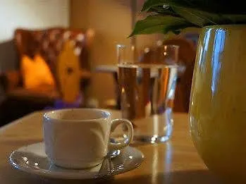 فندق التشتات فايسه تاوبه 4*